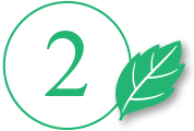 ２