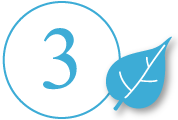 ３